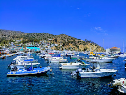 Webcam West End Bald Eagle – Webcam Live