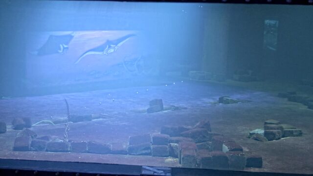 Állatkert Budapest szívében - Cápasuli ÉLŐ