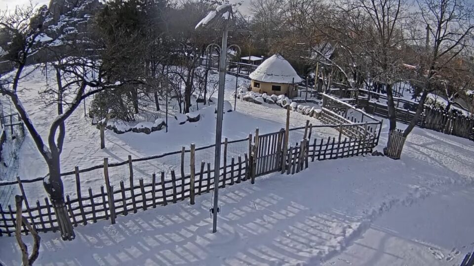Állatkert Budapest szívében - Szavanna kifutó ÉLŐ