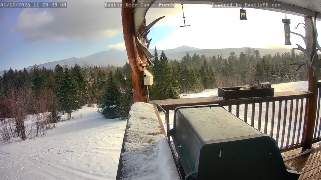 Eustis Deer Cam, Maine