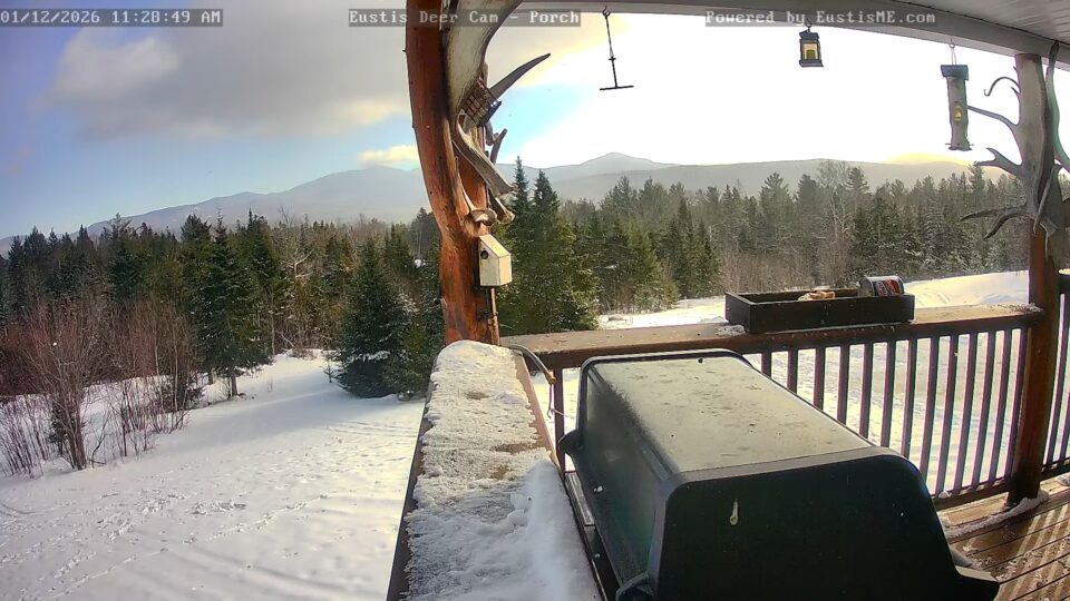Eustis Deer Cam, Maine