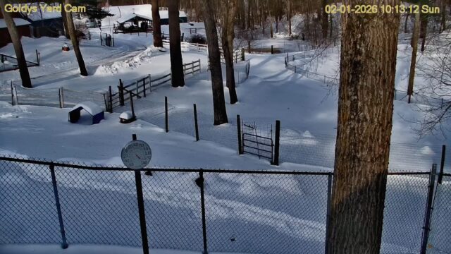 Goldy’s Farm Live Webcam