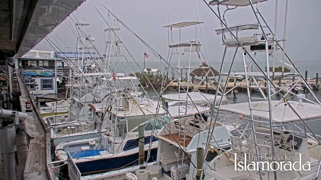 Whale Harbor, Islamorada, FL