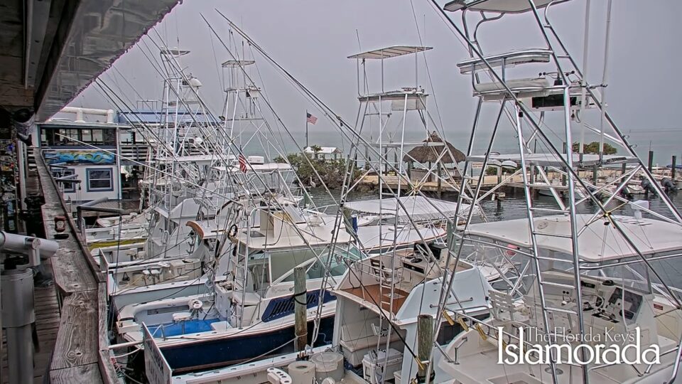 Whale Harbor, Islamorada, FL