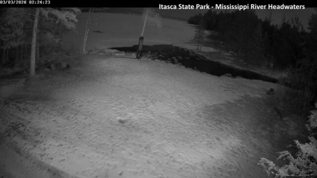 Mississippi River Headwaters Live Itasca State Park, Minnesota