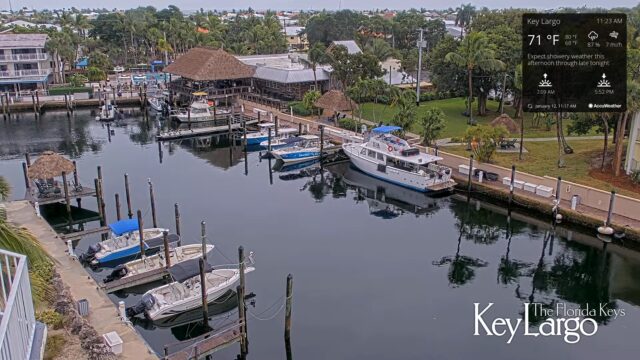 Courtyard Key Largo Cam