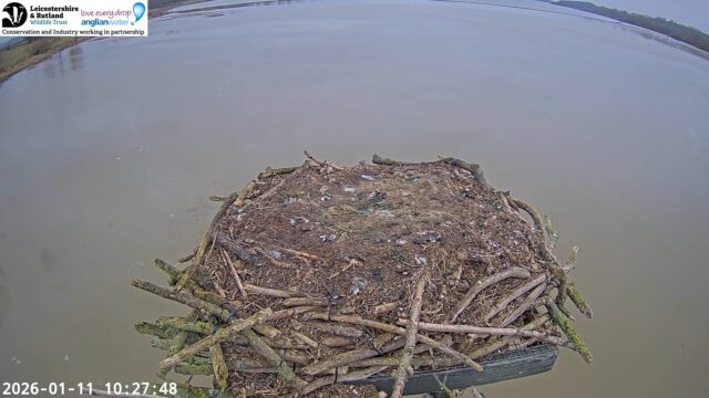 LRWT Rutland Osprey Nest Cam