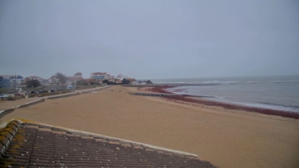 Baie de Sion, Saint-Hilaire-de-Riez