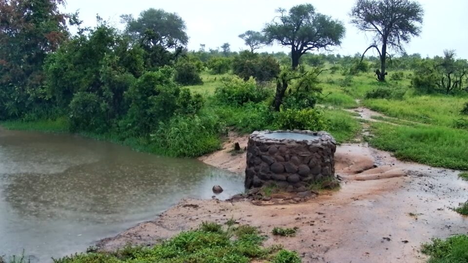 Naledi Dam Wildlife Cam, Limpopo