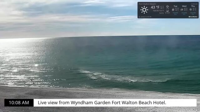Wyndhan Garden Live, FL