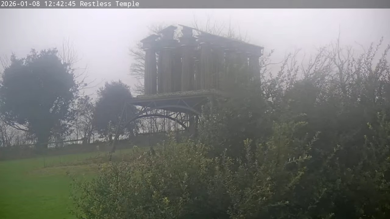 Restless Temple - Webcam Live Stream