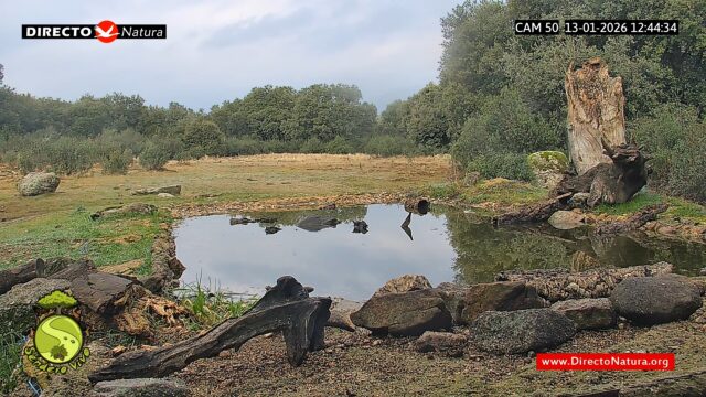 Sendero Vivo live webcam camera in Navalagamella