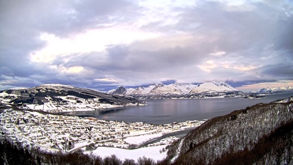 Stornes, Bergseng & Grytøya live