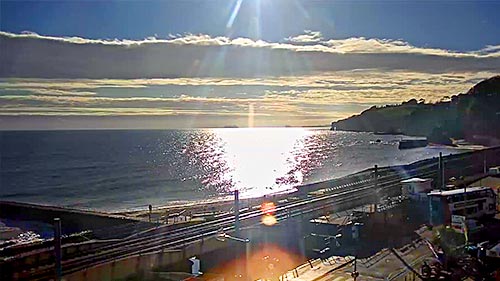 Black Swans Cam, Dawlish