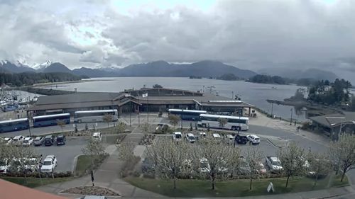 Sitka Cam, Alaska