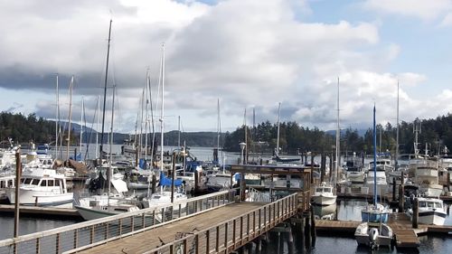 Shipyard Cove Marina Cam, WA
