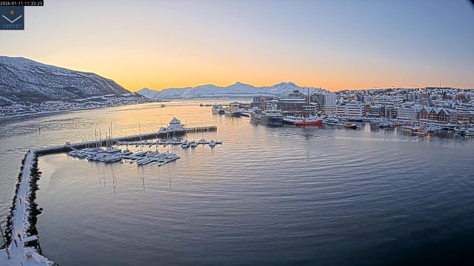 webcam Vervet Live - Utsikt Sør