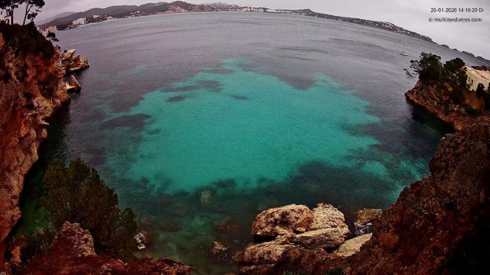 Cala Fornells Live Webcam – Paguera, Mallorca