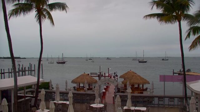 Snook's Bayside Cam, Key Largo
