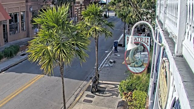 Duval Street Live Webcam – Bagatelle Restaurant, Key West, Florida