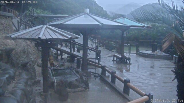 Awaji Monkey Center, Japan