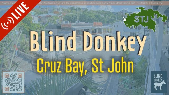 Blind Donkey Cam, Cruz Bay