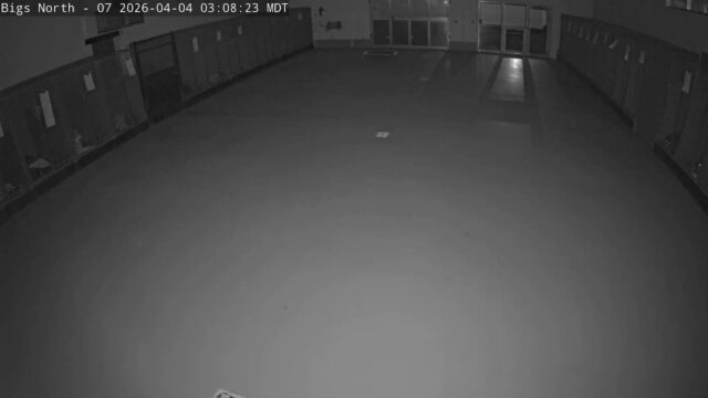 DogMode: North Inside, Cam