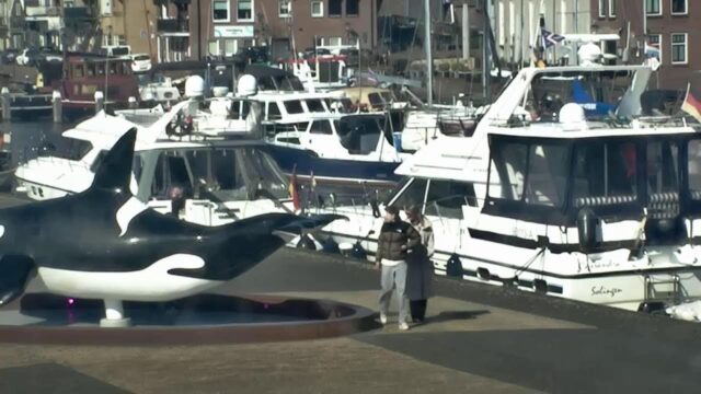 Dormakade Cam, Urk