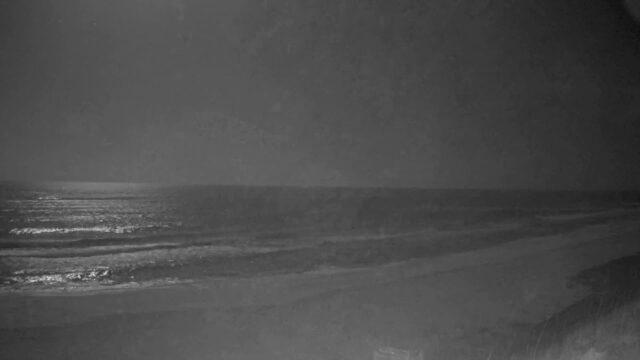 Dune Allen Beach Cam, Florida