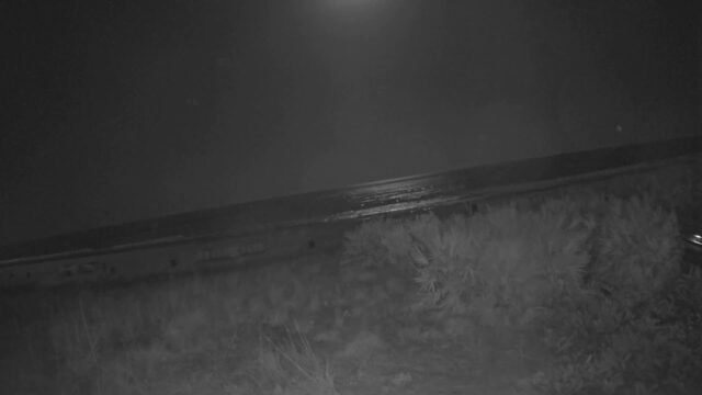 Emerald Beach Cam, FL