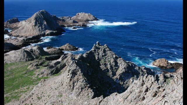Farallon Islands Cam
