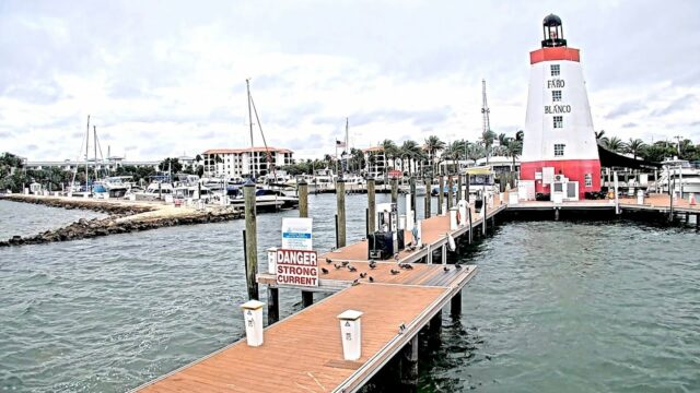 Faro Blanco Marina Cam, FL