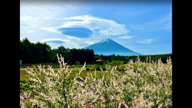 Fuji Motosuko Resort, Japan
