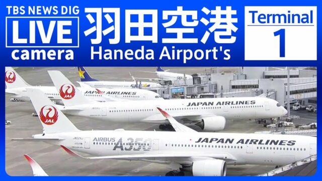 Haneda Airport Cam, Tokyo