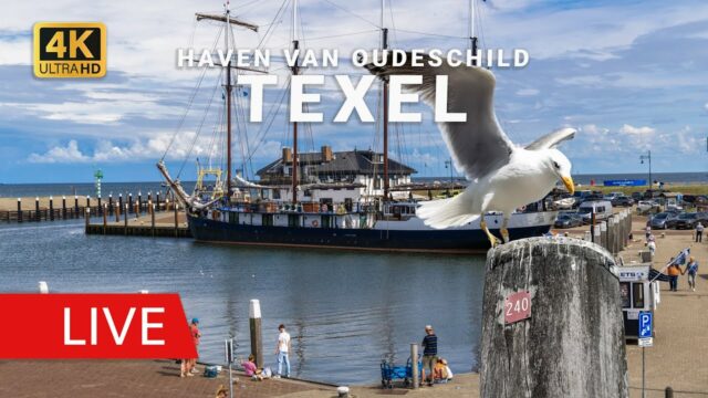 Haven Oudeschild Texel, NL