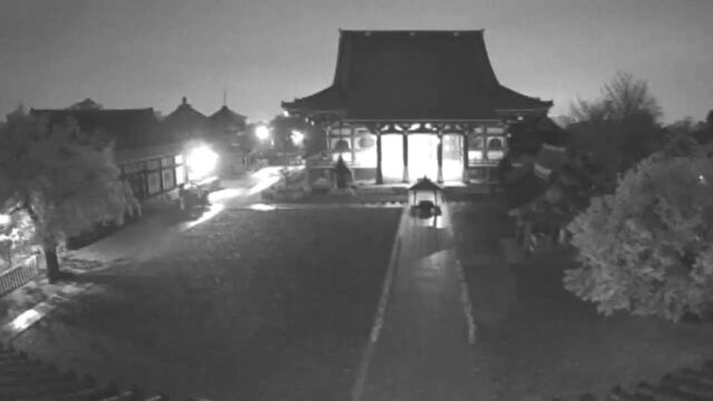 Ikegami Honmon-ji Temple