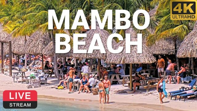 Mambo Beach Cam, Curaçao