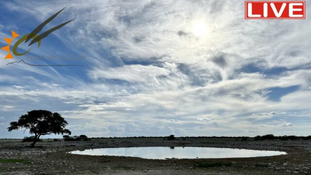 Okaukuejo Waterhole, Namibia