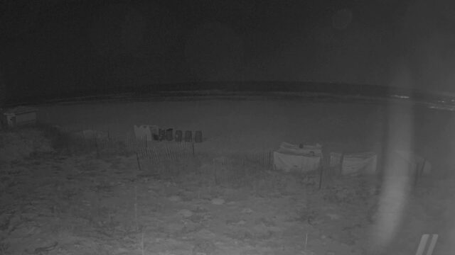 Pelican Beach Resort Destin, FL