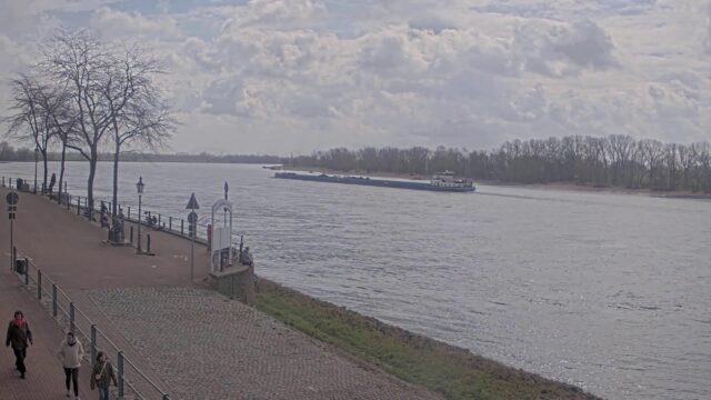 Rhine River Cam, Rees