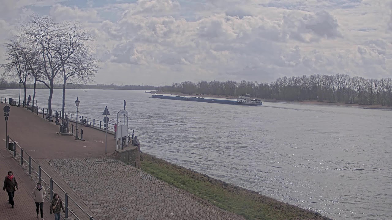 Rhine River Cam, Rees - Webcam Live Stream