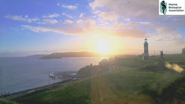 Smeaton’s Tower Cam, Plymouth