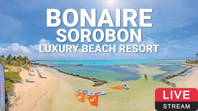 Sorobon Beach Resort, Bonaire