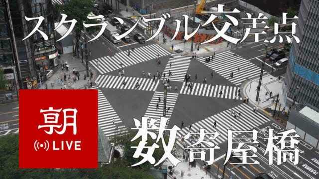 Sukiyabashi Crossing, Ginza