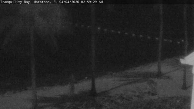 Tranquility Bay Cam, Marathon