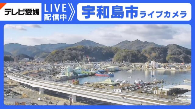 Uwajima City Cam, Japan