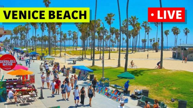 Venice Beach Cam, Los Angeles
