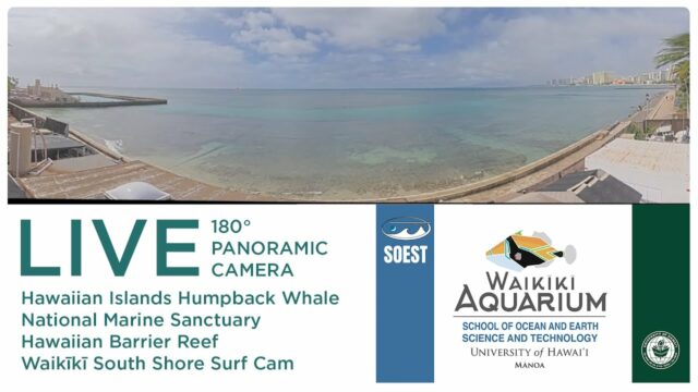 Waikiki Aquarium Cam