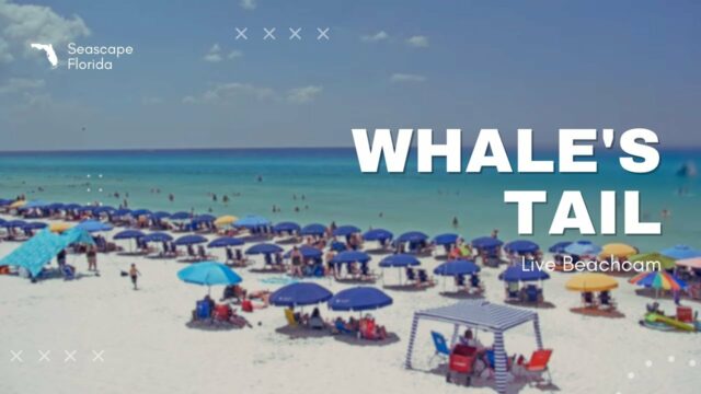 Whale’s Tail Beach Cam, FL